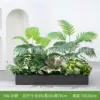 hc-Y80-26 es adecuado para jardineras de 80 cm.