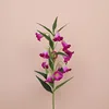 Bright purple