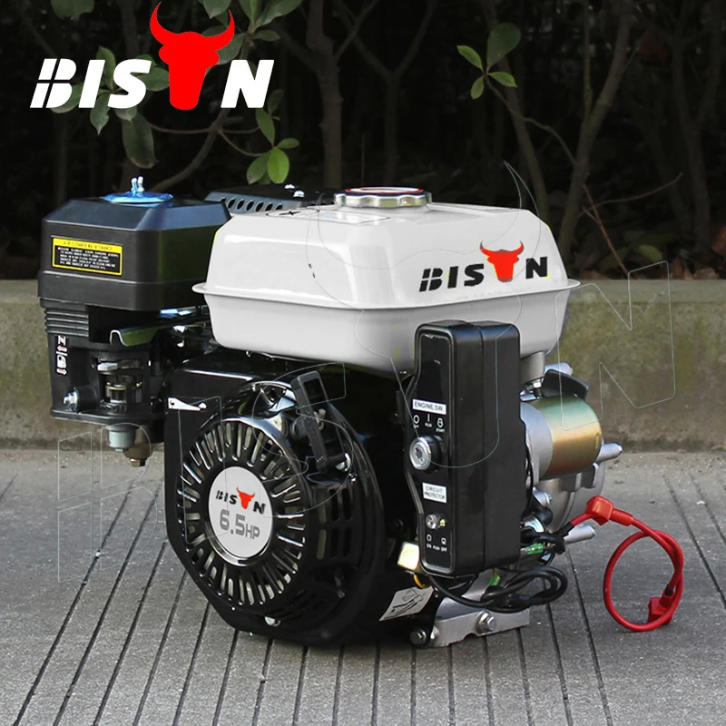 BISON Small China 168f 1 6.5hp Gasoline Engine with Clutch