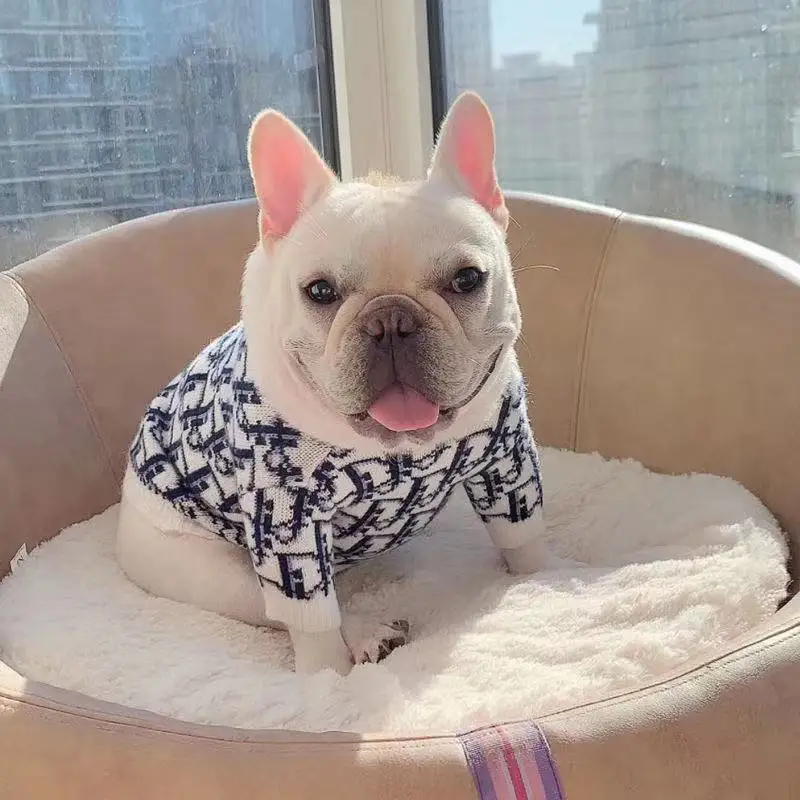 smoochie pooch dog clothes