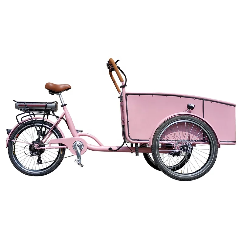 買い誠実 【名入れ対応】iimo Amazon.co.jp: 三輪車 #02