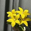 Giallo