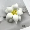 Double-layered - white
