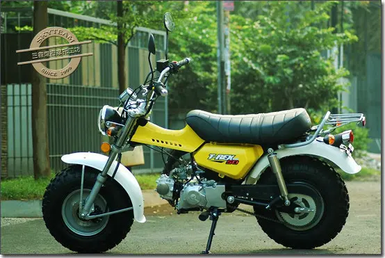 SKYTEAM E5 125cc 4ストロークT-REX RV90バンバンビーチバイク