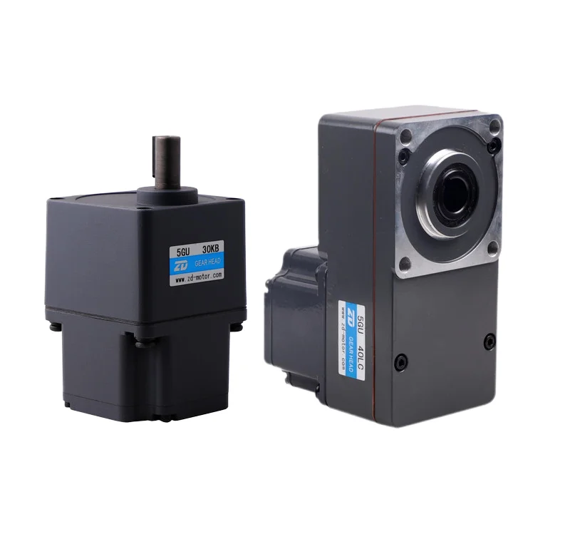 6W Constant Speed Electric BLDC Brushless DC Gear Induction Motor 110V 220V 24V for Fan Robot Pump Machine Boat Servo Motor