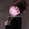 Pink Queen of the Night