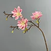 Rosa pesca