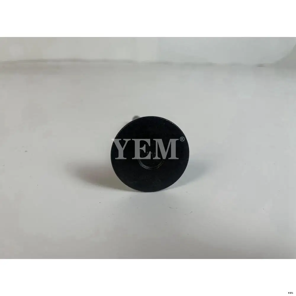 13Z Intake Valve for Toyota
