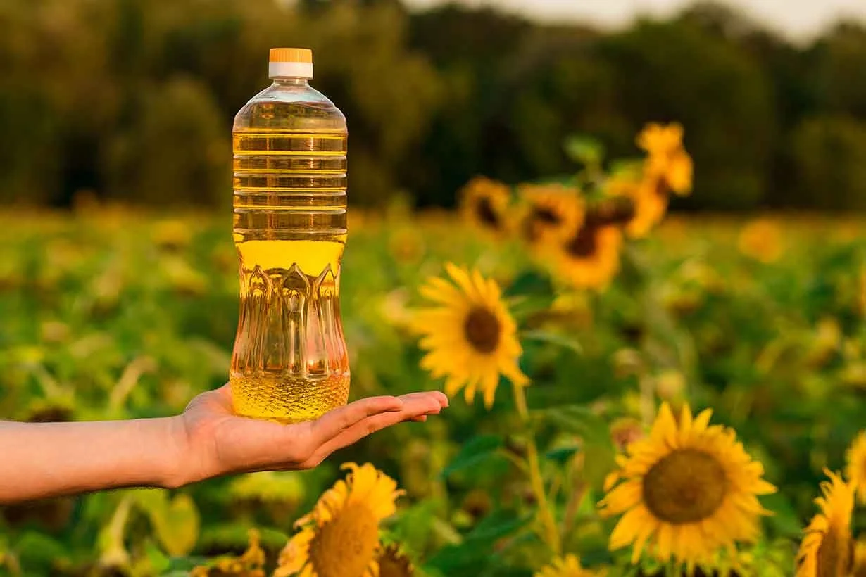 hand-holding-bottle-of-sunflower-oil-with-sunflower-field-in-background (2).jpeg