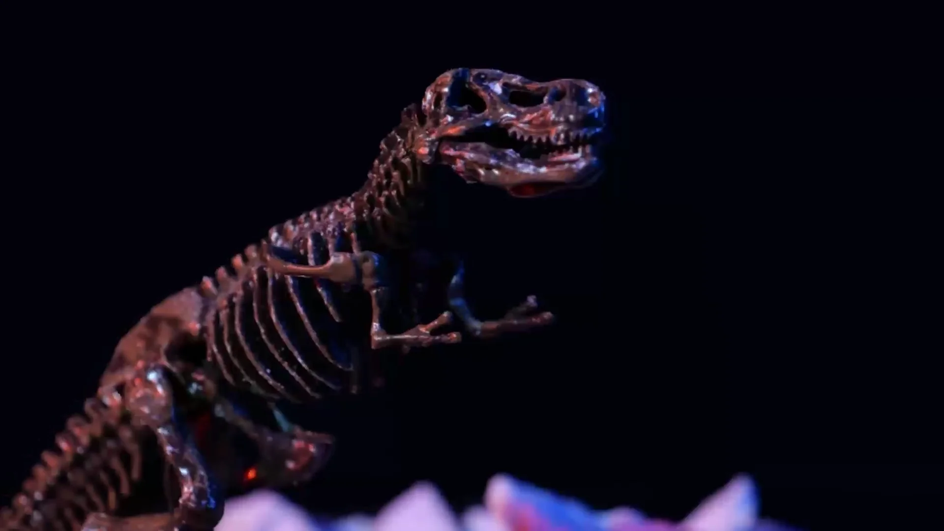 Dinosaur Excavation Kit 3d Dinosaur Digging Fossil Kit Dig For Bones