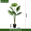 140CM/Sabal