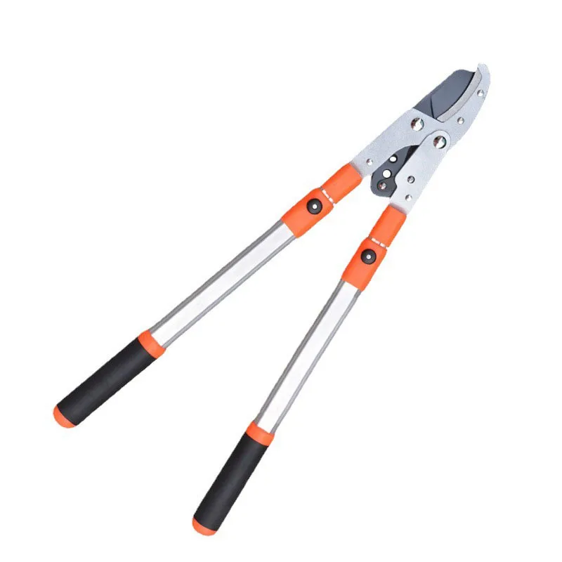 01 High-branch scissors