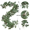 Trompeta trepadora - Verde otoño