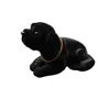 Labrador
