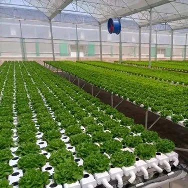 Kit Hydroponics System NFT Vertical Hydroponics Growing System Equipment Tiled Pipeline Hydroponics