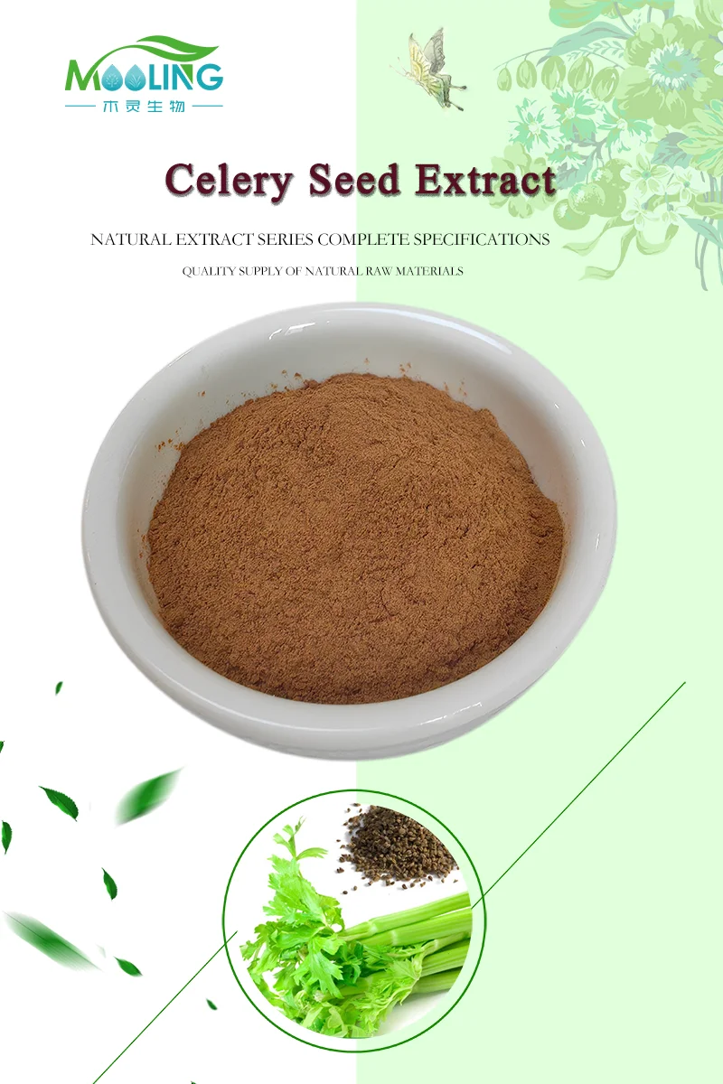 Low Price 100 Pure Celery Seed Extract Celery Seed Powder Cas 89997 35 3 Buy Celery Extract