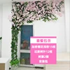 Cherry Blossom Set Menu - INS-16