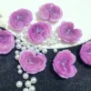 Purple rose dance