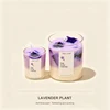 Caffè freddo alla lavanda viola