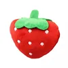 Red strawberry