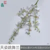 Dancing Orchid DG White