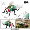 mosca colorida M-2717