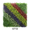 50*50