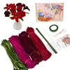 Ensemble de roses rouges - boîte de couleur