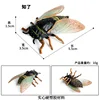 Cicada M-1417 colorida