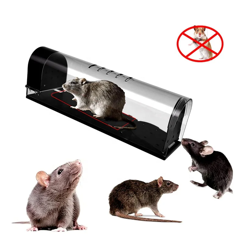 SJZ OEM/ODM New Design High Effective Large Reusable Plastic no kill Humane Live Rats Mouse Trap Cage