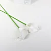 Blanco puro (núcleo blanco)