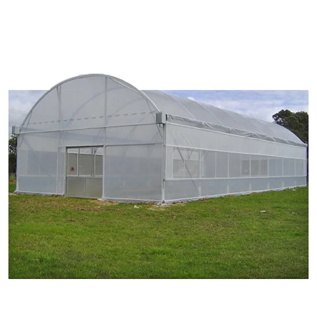 Chinese Hot Sale Agricultural Greenhouse Structure Plastic Film Single Span Greenhouse