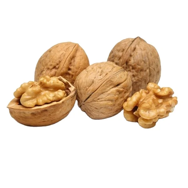 hot sale  walnuts in shell  cheap prices