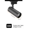 Corpo nero da 30 W