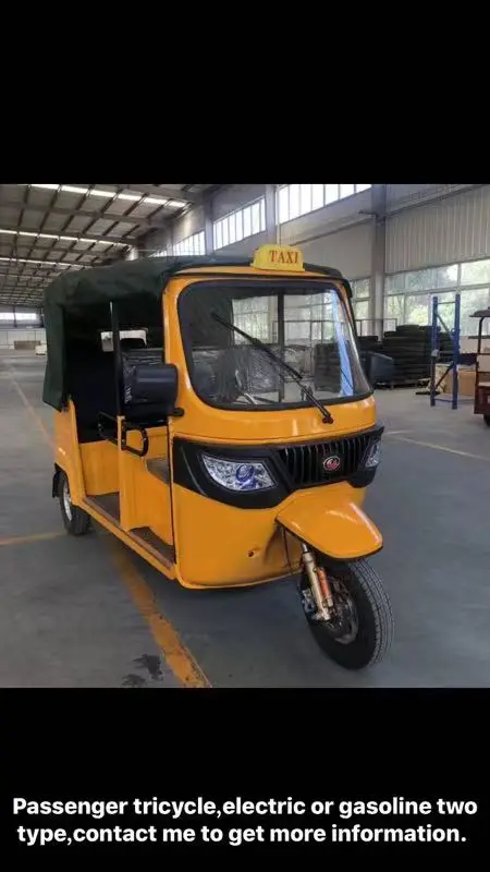 Electric Three Wheel Bike Making in China 1000W Power