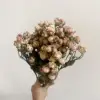 Rosa y Blanco