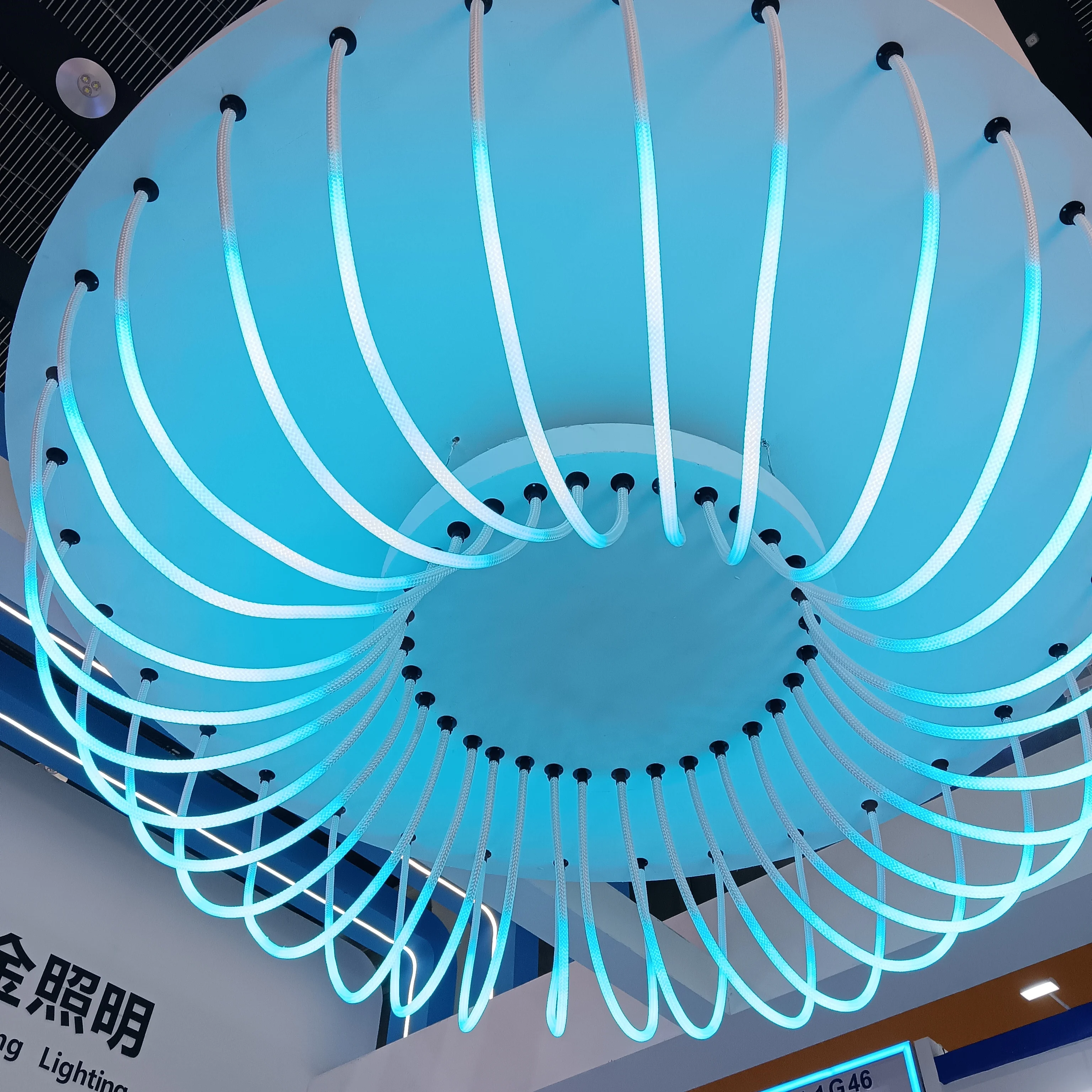 Smart WIFI Control Neon Tube Best Selling 360degree RGBIC LED Strip Light Dream Color