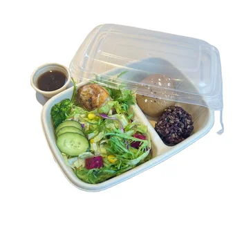 Disposable food boxes takeaway packaging CR900ML PET LID 240430