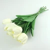 Blanco leche
