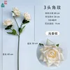 3-headed rose XH light champagne