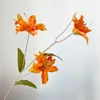 3 lily-Orange