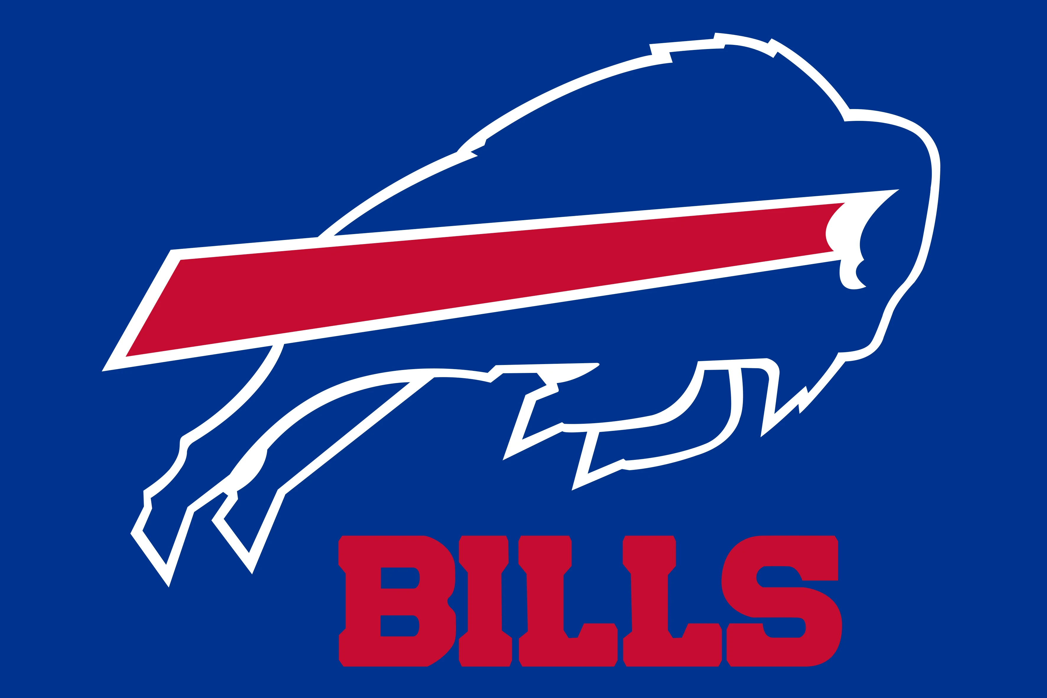 Custom Made 90X150cm Good Quality Cheap NFL Blue Background Buffalo Bills  Team Sports Flags - China Good Quality and Manufacture Wholesale price