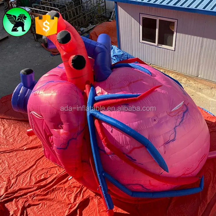 Large Inflatable Lung 6m Inflatable Lung Customized Giant Lung Inflatable For Event A5789 ...