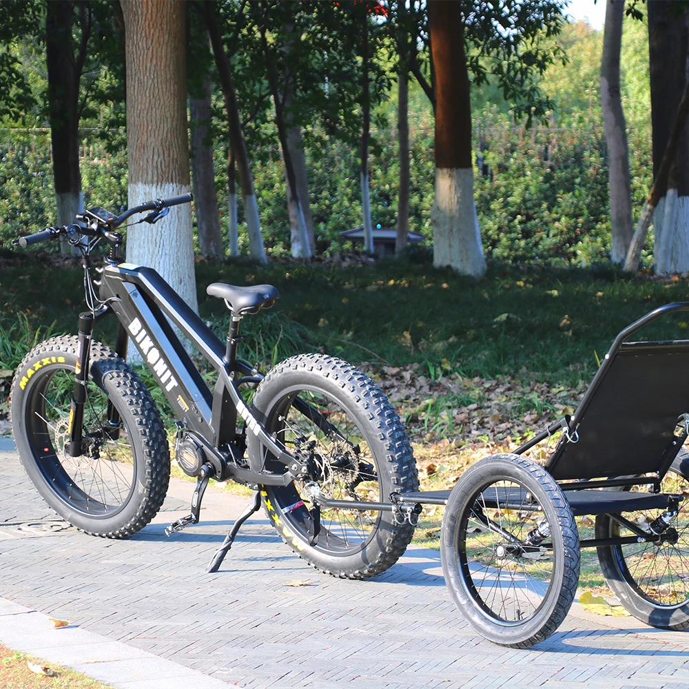 adult electric balance bike