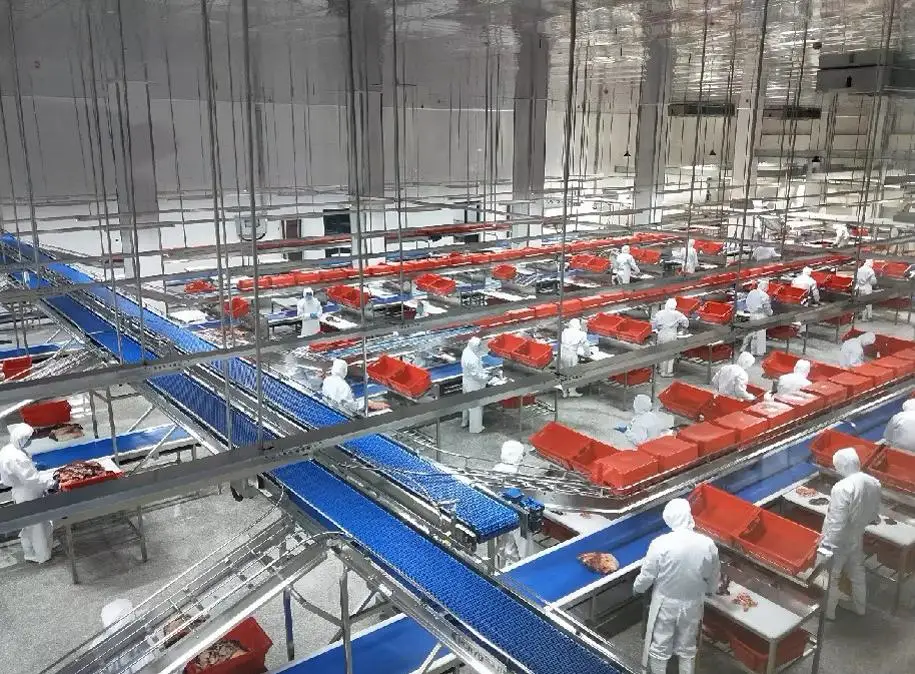 Automatic industrial meat conveying line in slaughterhouse