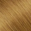 #6-Hazelnut