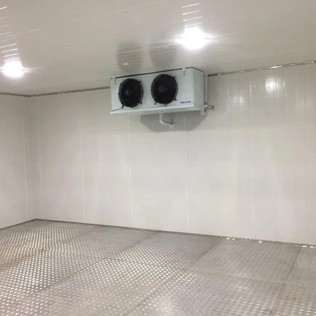 Air-Cooled Low Temperature Cold Storage Room with 220V Voltage Durable Compressor Cold Room