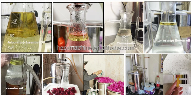 Home Lab Use Steam Distillation Extraction Essential Oil Extractor ...