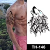 TH-146