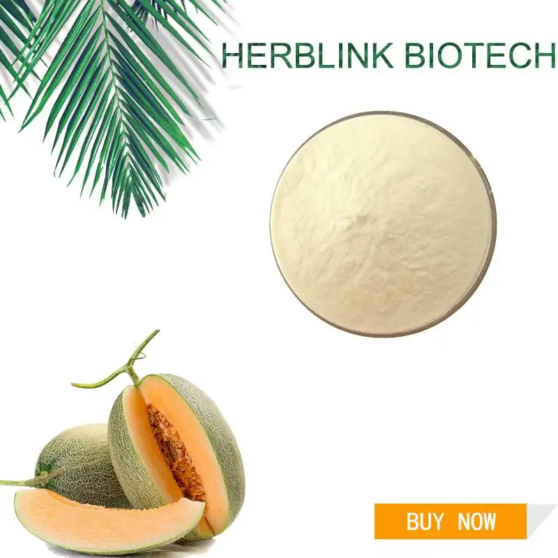 Natrual Cantaloupe Extract Food Grade Cantaloupe Powder/hami Melon
